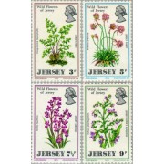 Jersey - 55/58 - 1972 Flores salvajes Lujo