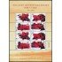 China 4286/89 2005 60 aniv. del fin de la segunda Guerra mundial Hoja con 2 series MNH