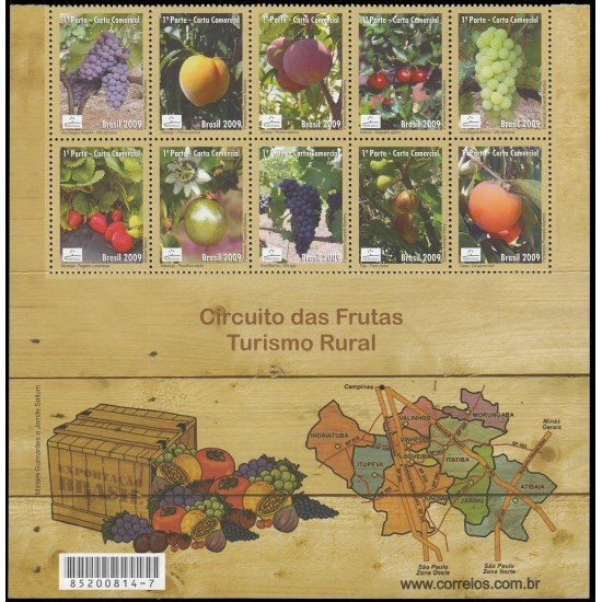 Brasil Brazil 3060/69 2009 Mercosul Productos de exportación Frutas Fruits Hoja con 2 series MNH