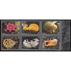 Brasil Brazil 3733/38 2019 Mercosul Diversidad de hongos MNH Brasil Brazil 3733/38 2019 Mercosul Diversidad de hongos MNH