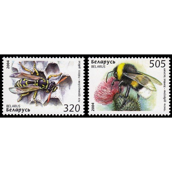 Bielorrusia  507/08  2004 Fauna insectos MNH