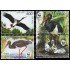 Bielorrusia  531/34  2004 Fauna insectos MNH
