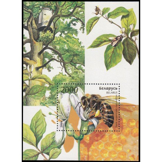Bielorrusia HB 43 2004 Fauna Insectos Abeja MNH Bielorrusia HB 43 2004 Fauna Insectos Abeja MNH