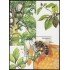 Bielorrusia HB 43 2004 Fauna Insectos Abeja MNH