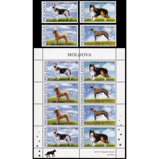 Moldavia 489/92 + Hoja con 2 series 2006 Fauna Perros MNH