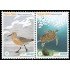 Uruguay 2660/61 2013 Fauna Correlimos de Maubeche Tortuga verde MNH