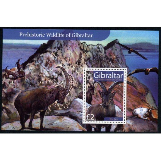 Gibraltar - Nº HB 81 2007 Fauna prehistórica de Gibraltar Ibex Lujo Gibraltar - Nº HB 81 2007 Fauna prehistórica de Gibraltar Ibex Lujo