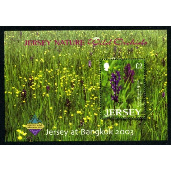 Jersey - HB 51 2003 Bangkok Expo. filatélica inter. Tailandia Flora Flores Orquídeas salvajes Lujo Jersey - HB 51 2003 Bangkok Expo. filatélica inter. Tailandia Flora Flores Orquídeas salvajes Lujo