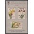Colombia HB 27 1967 Exp. de Orquídeas Medellín  MNH