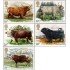 FAU2/S Gran Bretaña 1117/21 1984 Cría bovina MNH