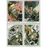 Gran Bretaña 1270/73 1987 Centenario de las ambulancias MNH