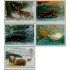Gran Bretaña - 1591/95 - 1992 Animales y el invierno MNH