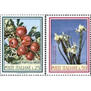 Italia - 989/90 - 1967 Frutas y flores Lujo