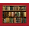 Biblioteca