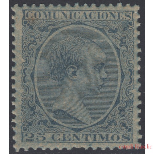 España Spain Variedad 221ib 1889/1899 Papel Azulado Afonso XIII 100€