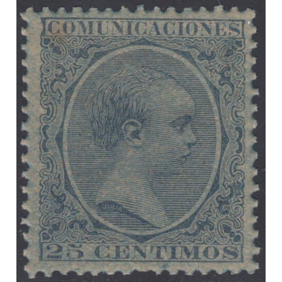 España Spain Variedad 221ib 1889/1899 Papel Azulado Afonso XIII