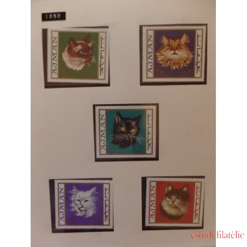 Colección Collection Gatos cats 