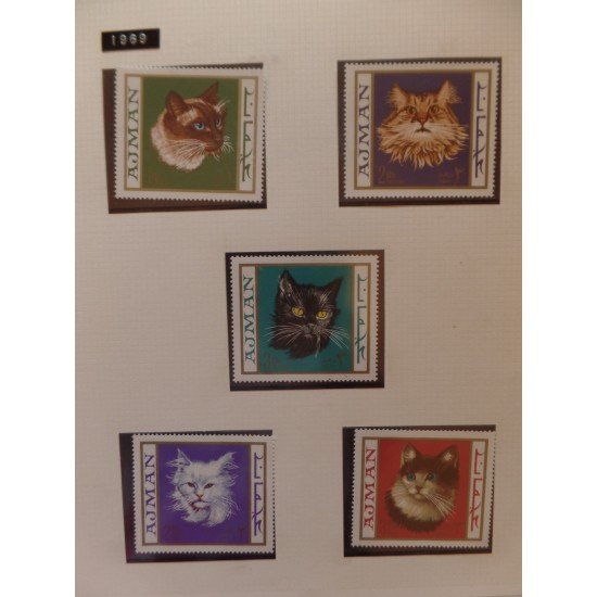 Colección Collection Gatos cats Colección Collection Gatos cats
