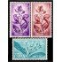 Rio Muni 42/44 1964 Día del sello (1963) Flora MNH