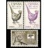 Rio Muni 66/68 1965 Día del Sello Fauna MNH