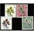 Rio Muni 76/79 1967 Flora MNH