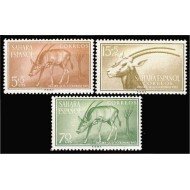 Sahara 123/25 1955 Día del Sello Fauna MNH