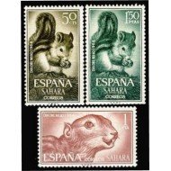 Sahara 236/38 1964 Día del Sello Fauna (ardilla africana) MNH
