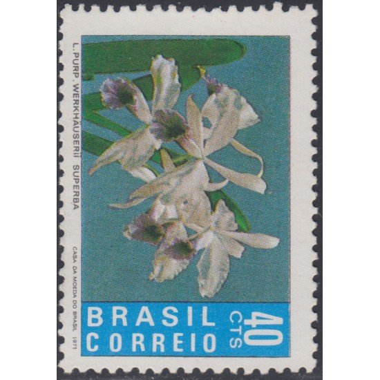 Brasil Brazil 969 1971 Serie Antigua Orquídea Flor Flower MNH Brasil Brazil 969 1971 Serie Antigua Orquídea Flor Flower MNH
