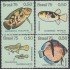 Brasil Brazil 1146/49 1975 Peces de agua dulce MNH