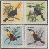 Brasil Brazil 1600/03 1983 Tucán Pájaros Birds MNH