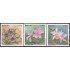 Brasil Brazil 2290/92 1996 15º Conferencia mundial sobre Orquídeas Flores Flower MNH