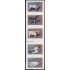 Brasil Brazil 2490/94 1999 Serie Antigua Razas brasileñas de animales domésticos MNH