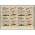 Brasil Brazil 1896/01 1988 Mini hojita Peces Fishes MNH