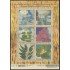 Brasil Brazil 2825/30 2002 América Upaep Fauna y flora indígena MNH