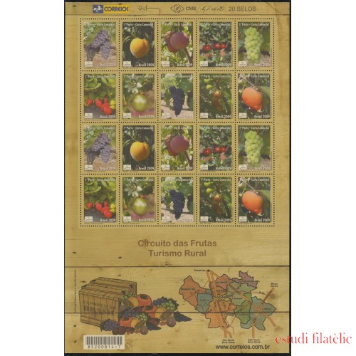 Brasil Brazil 3060/69 2009 Mercosul Productos de exportación Frutas Fruits MNH
