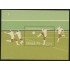 Brasil Brazil HB 33 1974 Copa del Mundo  de Fútbol en Munich MNH