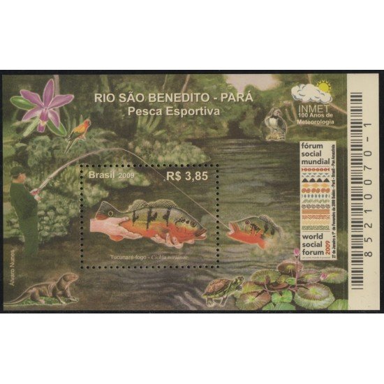 Brasil Brazil HB 137 2009 Los ríos brasileños de San Benedito MNH Brasil Brazil HB 137 2009 Los ríos brasileños de San Benedito MNH