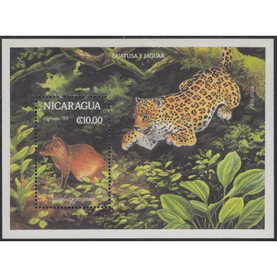 Nicaragua HB 220 1993 Guatasa y Jaguar fauna MNH Nicaragua HB 220 1993 Guatasa y Jaguar fauna MNH