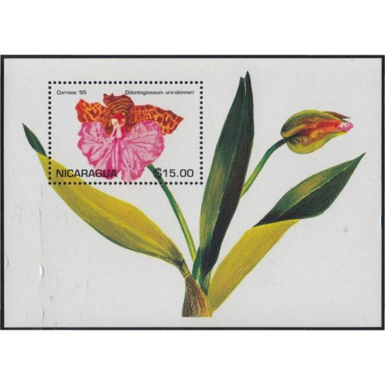 Nicaragua HB 255 1995 Flor Flower Orquídeas MNH Nicaragua HB 255 1995 Flor Flower Orquídeas MNH