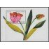 Nicaragua HB 255 1995 Flor Flower Orquídeas MNH