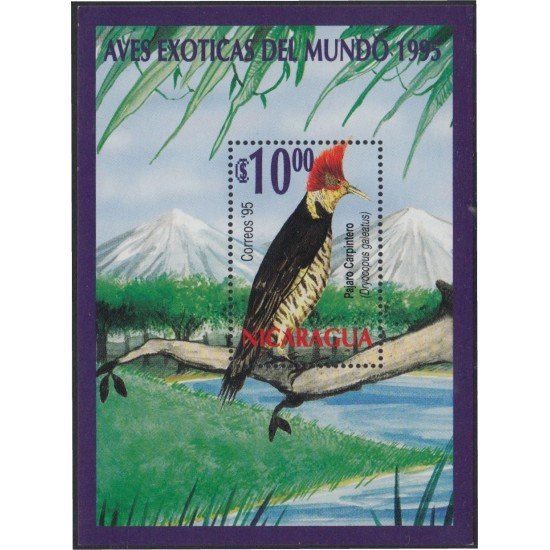 Nicaragua HB 261 1995 Aves exóticas del mundo Pájaros Birds MNH Nicaragua HB 261 1995 Aves exóticas del mundo Pájaros Birds MNH