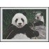 Nicaragua HB 271E 1996 Protección de la Fauna Oso Panda MNH