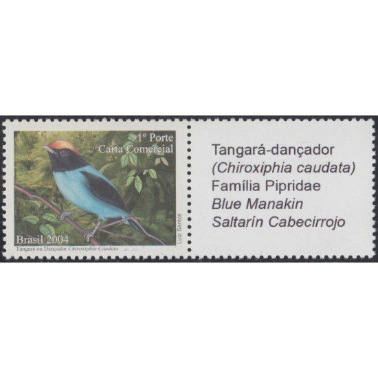 Brasil Brazil SP 9 2004 Pájaro Saltarín Cabecirrojo Bird Filatelia Jori MNH Brasil Brazil SP 9 2004 Pájaro Saltarín Cabecirrojo Bird Filatelia Jori MNH