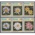 Nicaragua 1155/60 1981 Flores Acuáticas Flowers  MNH