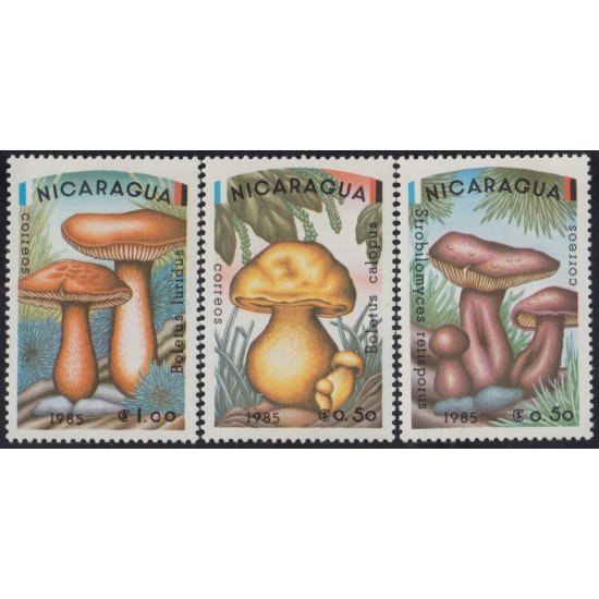 Nicaragua 1361/63 1985 Flora Champiñones MNH Nicaragua 1361/63 1985 Flora Champiñones MNH