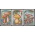 Nicaragua 1361/63 1985 Flora Champiñones MNH