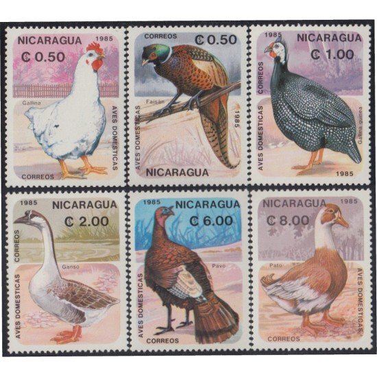 Nicaragua 1376/76E 1985 Pájaros domésticos MNH Nicaragua 1376/76E 1985 Pájaros domésticos MNH
