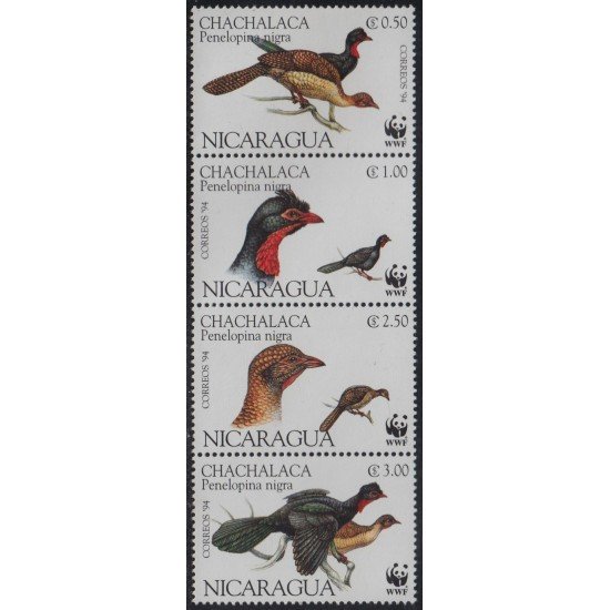 Nicaragua 1911/14 1994 Protección de la naturaleza Pájaros Birds MNH Nicaragua 1911/14 1994 Protección de la naturaleza Pájaros Birds MNH