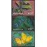 Nicaragua 2305/07 1998 Mariposas Butterflies MNH