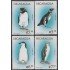 Nicaragua 2323/26 1998 Fauna Pájaros Marinos del Mundo Pinguinos MNH
